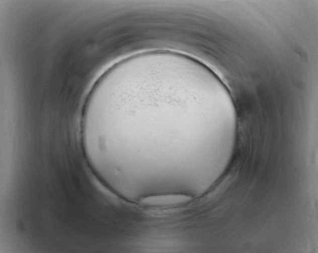 X0000116841535200912312045