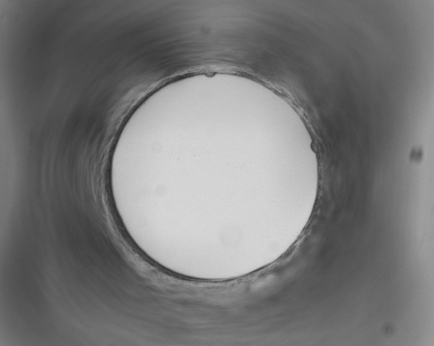 X0000116840001201001081508