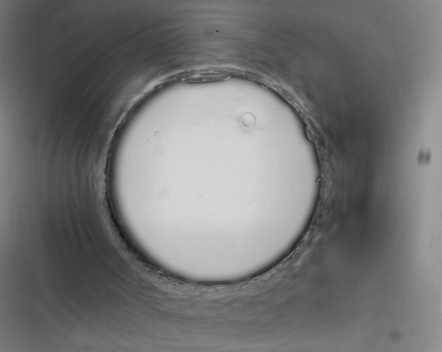 X0000116840002201001081508