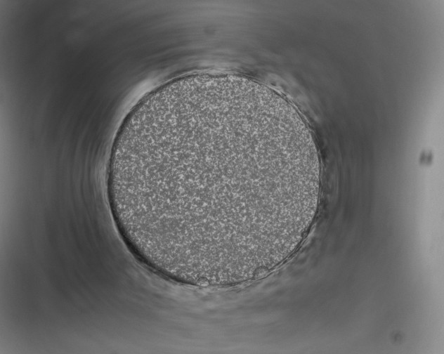 X0000116840003201001081508