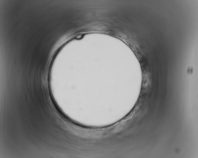 X0000116840004201001081508