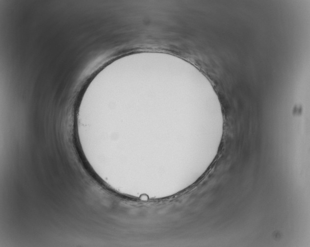 X0000116840005201001081508