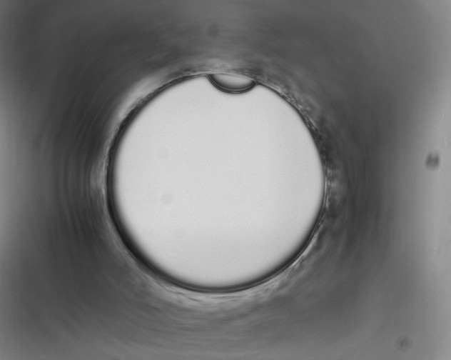 X0000116840006201001081508