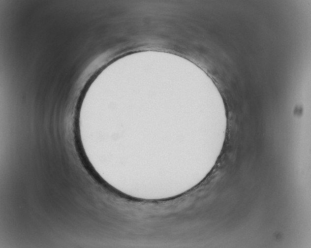 X0000116840007201001081508