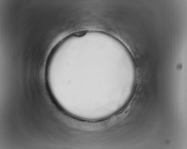 X0000116840008201001081508