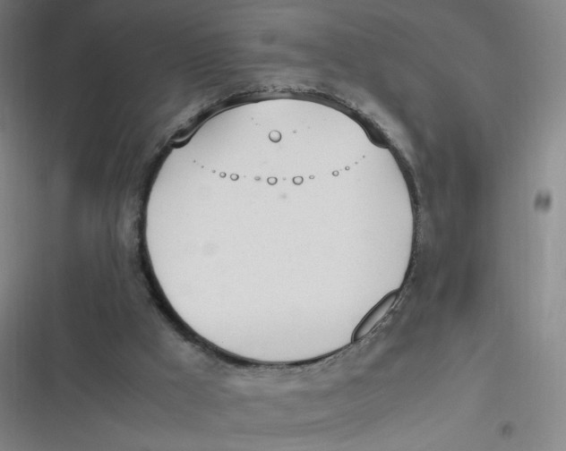 X0000116840009201001081508