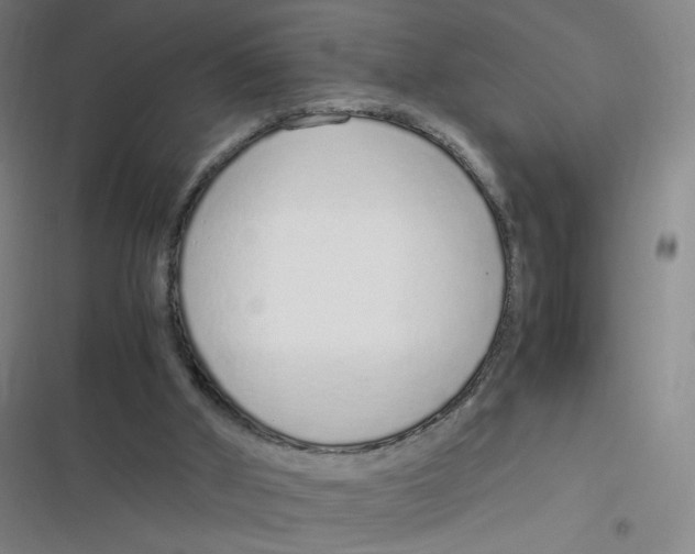 X0000116840010201001081508