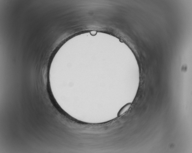 X0000116840011201001081508