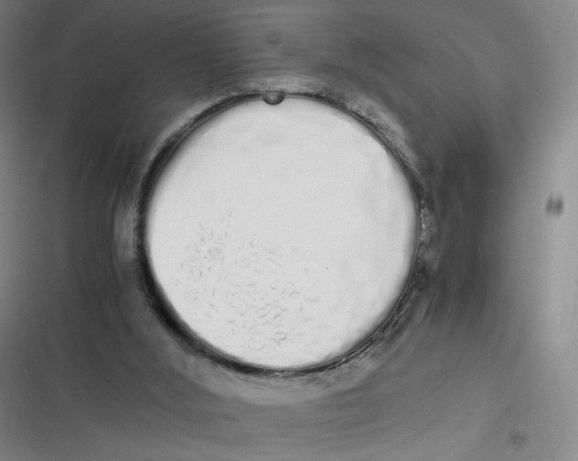 X0000116840012201001081508