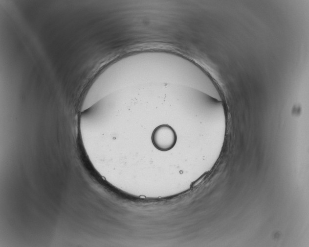 X0000116840013201001081508