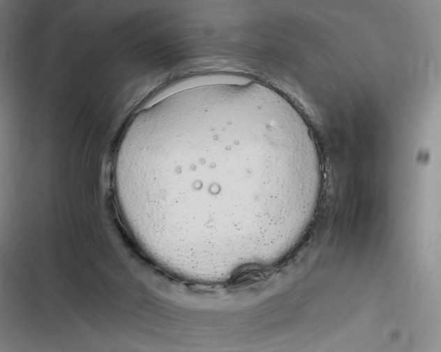 X0000116840014201001081508