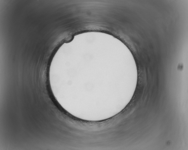 X0000116840015201001081508