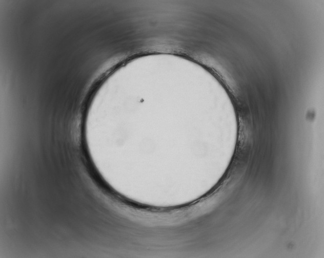 X0000116840016201001081508