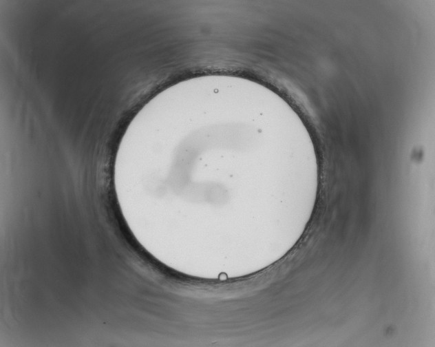 X0000116840017201001081508