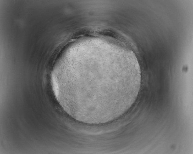 X0000116840018201001081508