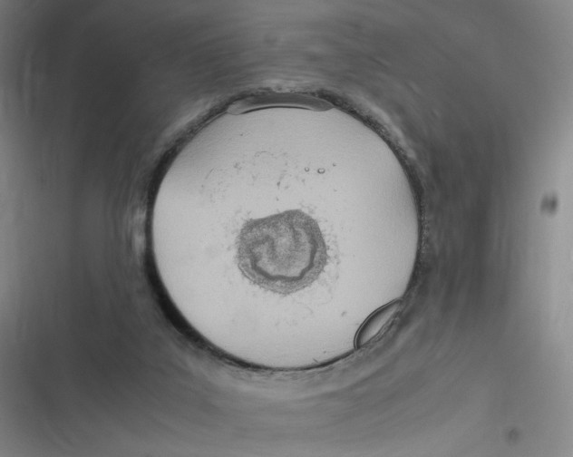 X0000116840019201001081508