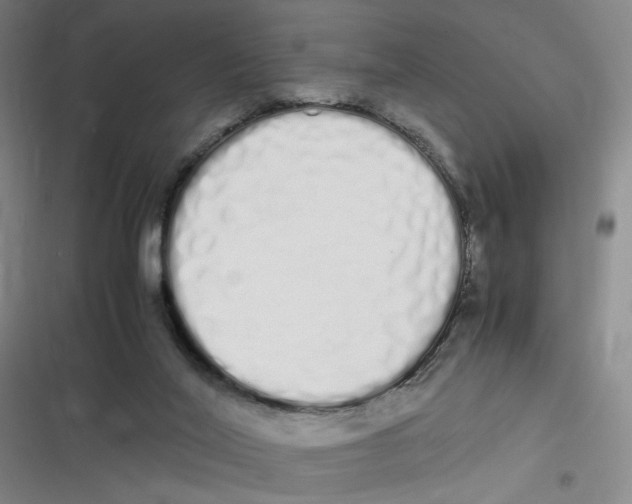 X0000116840020201001081508