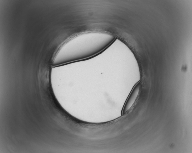 X0000116840021201001081508