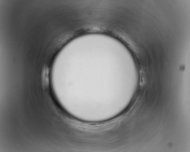 X0000116840022201001081508