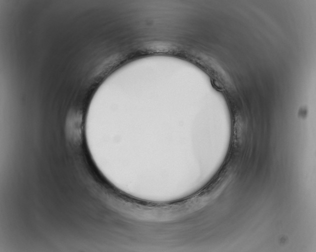 X0000116840024201001081508