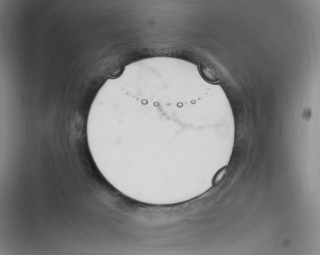 X0000116840025201001081508