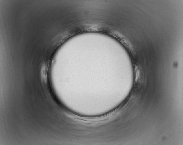 X0000116840026201001081508