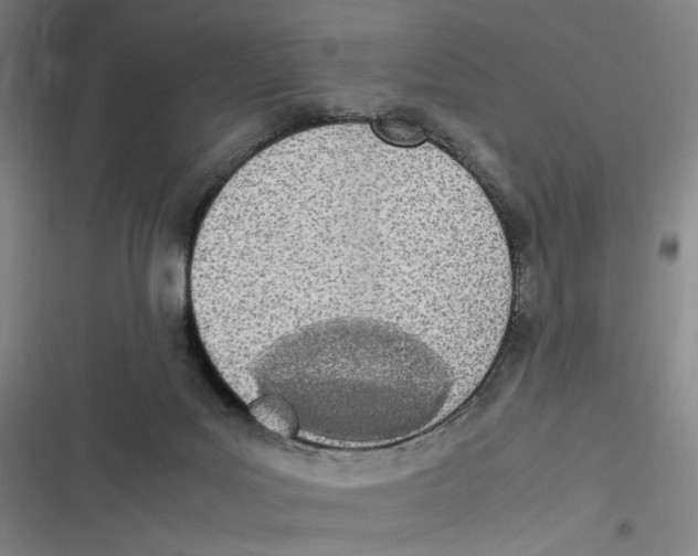 X0000116840027201001081508