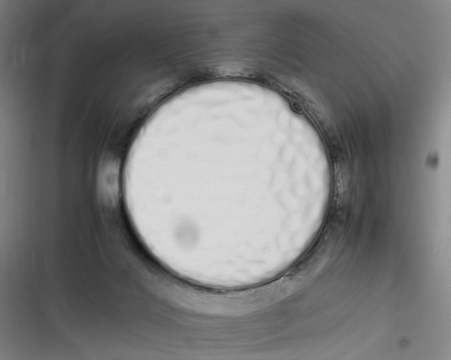 X0000116840028201001081508