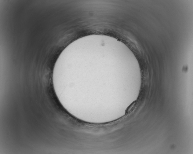 X0000116840029201001081508