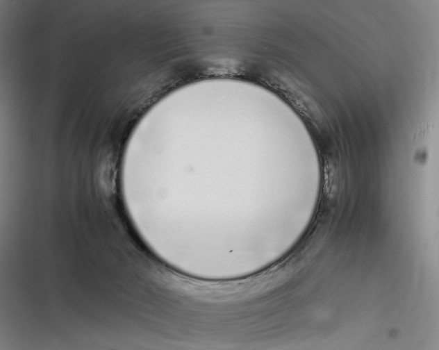 X0000116840030201001081508