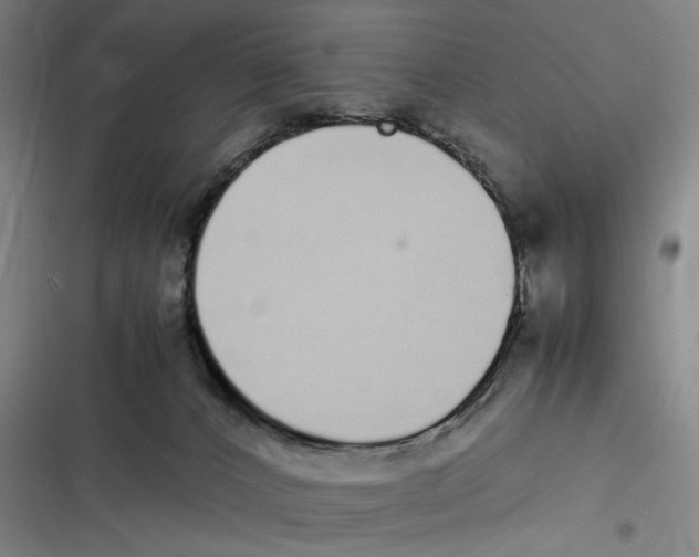 X0000116840032201001081508