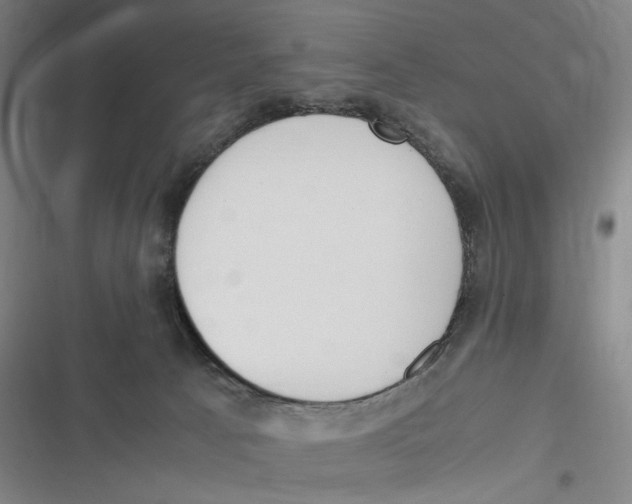 X0000116840033201001081508