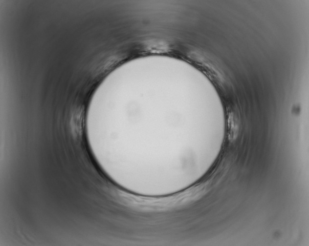 X0000116840034201001081508