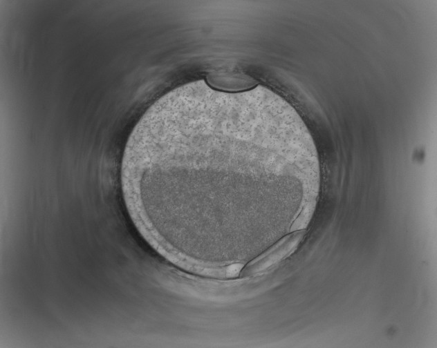 X0000116840035201001081508