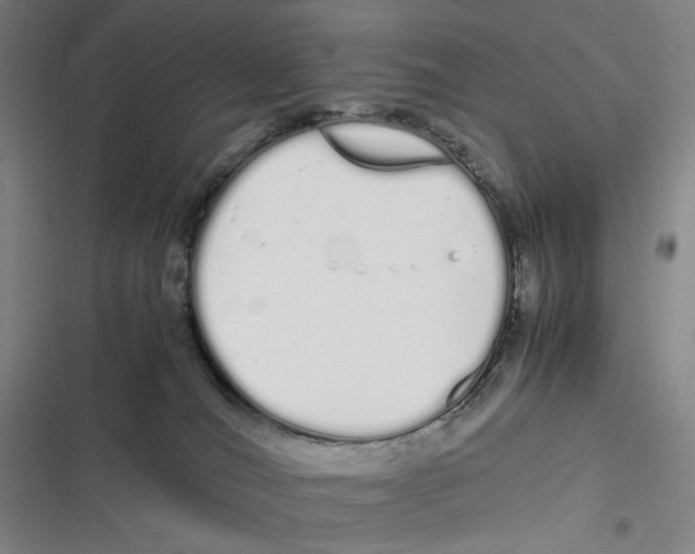 X0000116840036201001081508