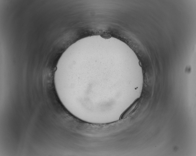 X0000116840037201001081508