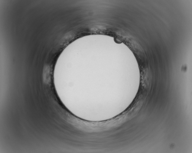 X0000116840038201001081508