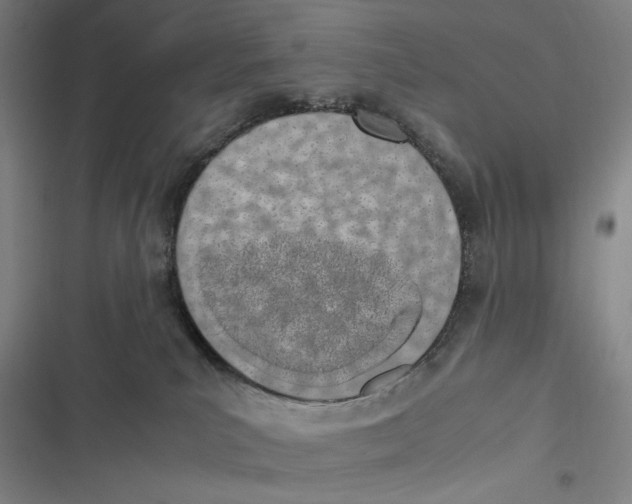 X0000116840039201001081508