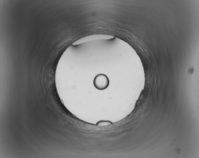 X0000116840043201001081508