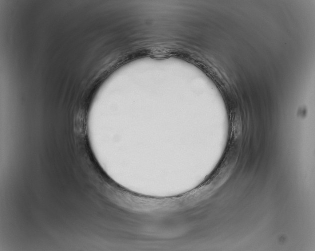 X0000116840044201001081508