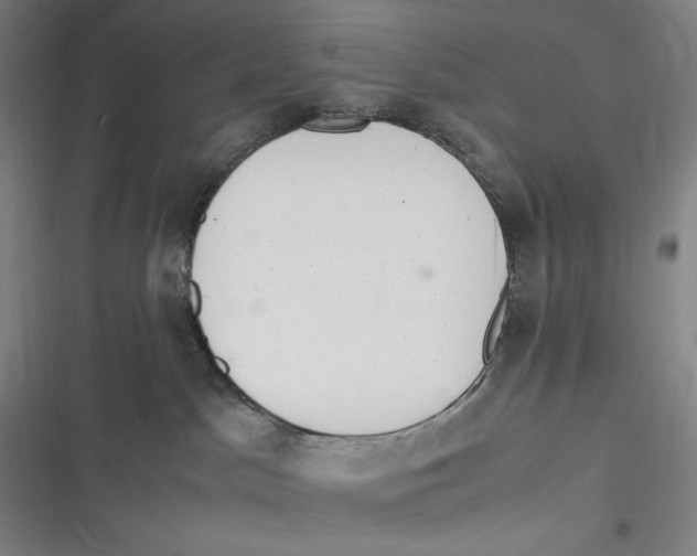 X0000116840045201001081508