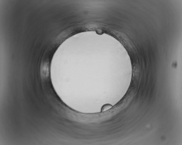 X0000116840046201001081508