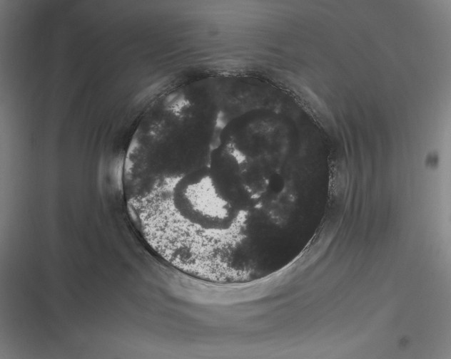 X0000116840047201001081508