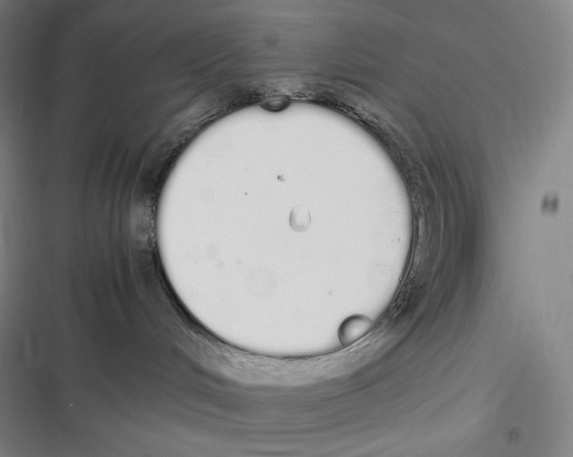 X0000116840048201001081508