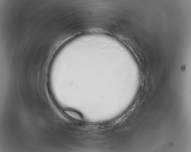 X0000116840049201001081507