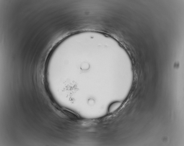 X0000116840050201001081507