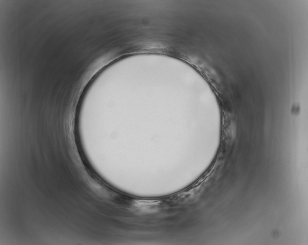 X0000116840051201001081507