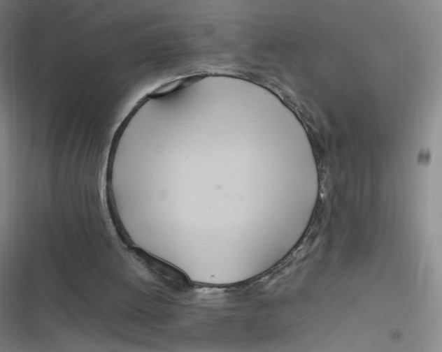 X0000116840052201001081507