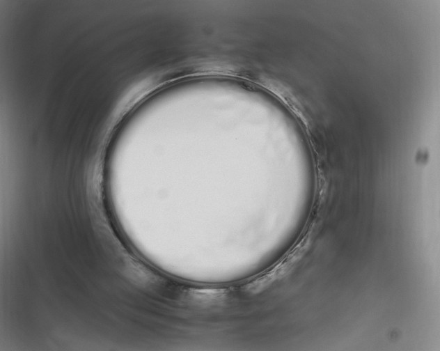 X0000116840053201001081507