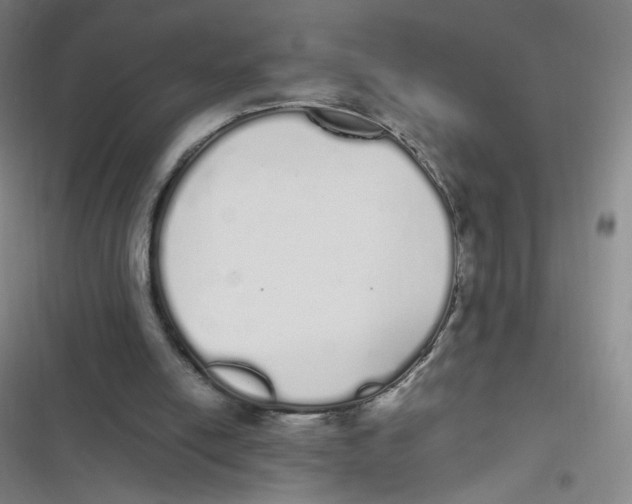 X0000116840054201001081507